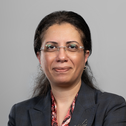 د. نرمين فاروق لبيب ميخائيل