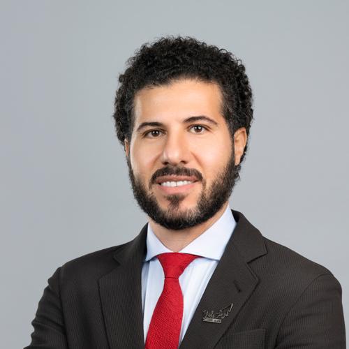 د. محمد حسين عباس