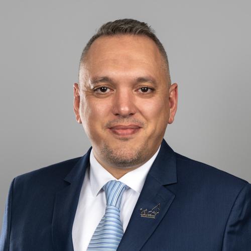 د. محمد معتز المصري