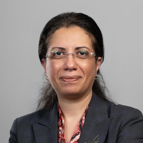 د. نرمين فاروق لبيب ميخائيل